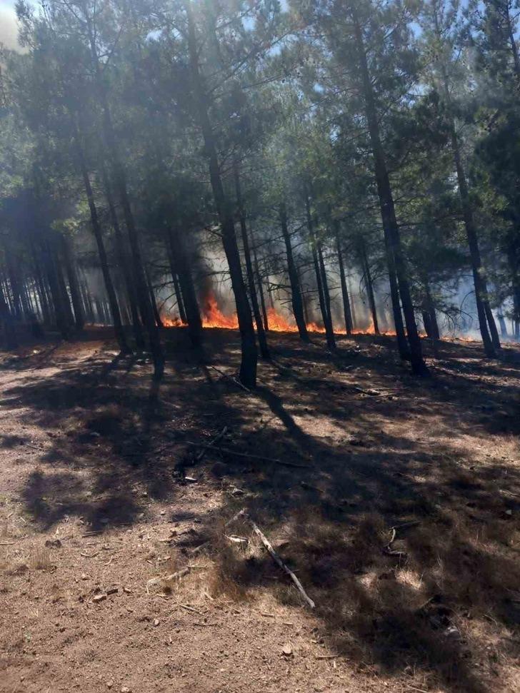 
Ankara, Bolu ve İzmir'de orman yangını! Hızla büyüyor...
