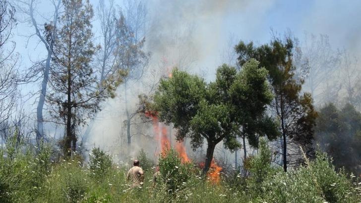 
Antalya Valiliği duyurdu! 31 Ekim'e kadar ormanlık alanlarda ateş yakmak yasaklandı
