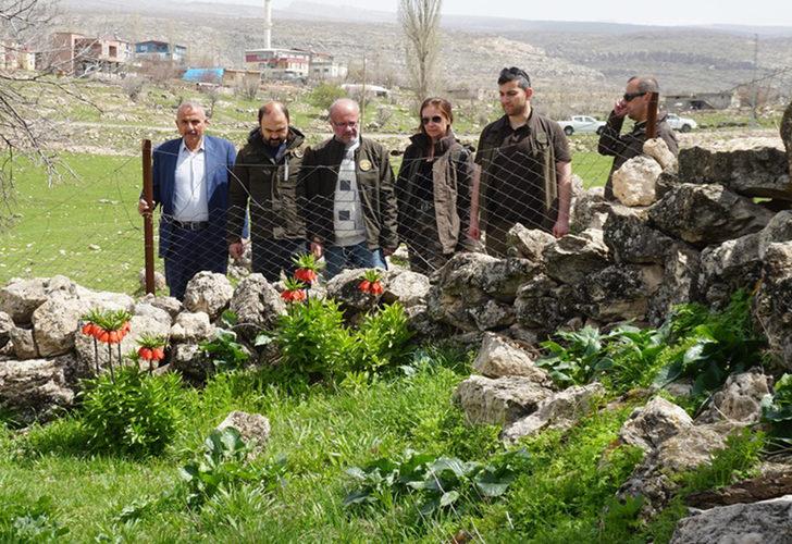 
Çalınmasın diye köylüler başında nöbet tutuyor! Cezası araba fiyatında... 
