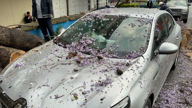 
Kadıköy'de şoke eden görüntü! Çürüyen ağaç otomobilin üstüne düştü
