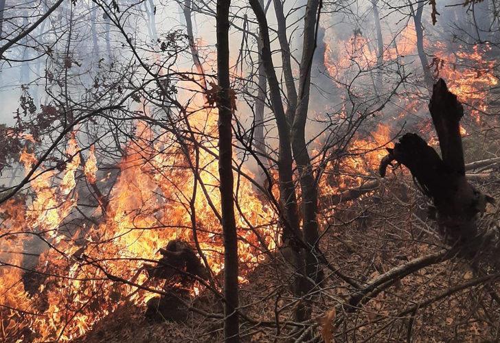 
Manisa Turgutlu'da orman yangını! 5 dönüm alan zarar gördü
