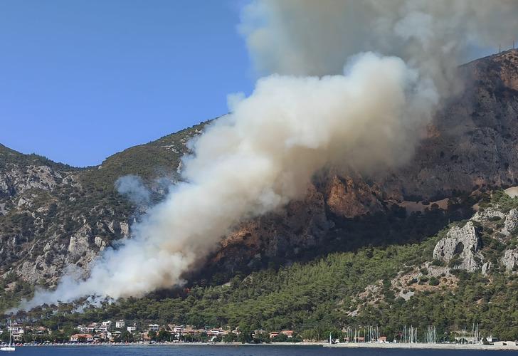 
Muğla Milas'ta orman yangını! Ekipler bölgede... Zamana karşı yarış başladı
