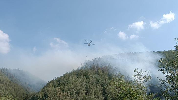 
Osmaniye'de orman yangınına müdahale ediliyor!
